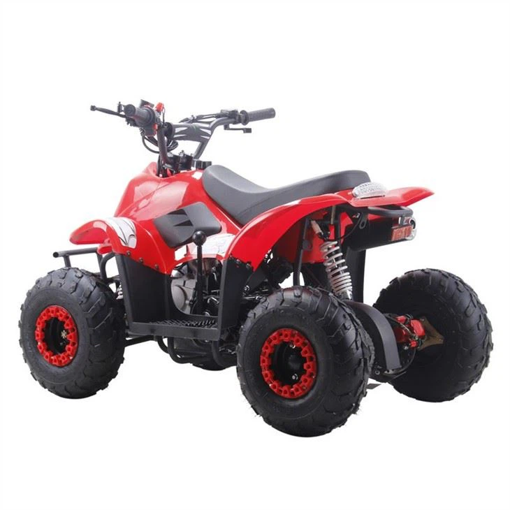 50cc 110cc quad ATV (3)