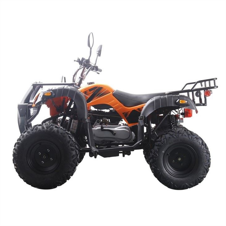 quad atv 200cc (5)