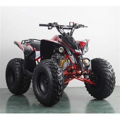 2023 L-Aqwa 125cc 150cc ATV Quad Bike
